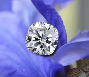 The Popularity of Lab Grown Diamonds 1 Popularity Lab Grown Diamonds Quorri Canada Copy 400x